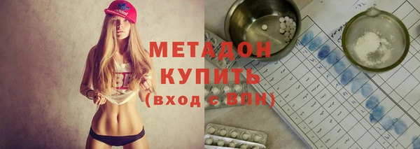 прущие грибы Абаза