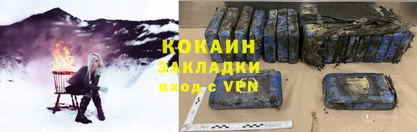 прущие грибы Абаза