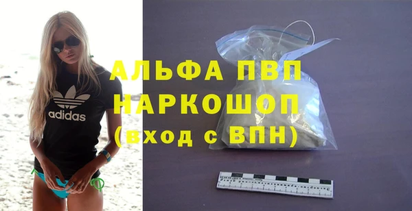 PSILOCYBIN Осташков