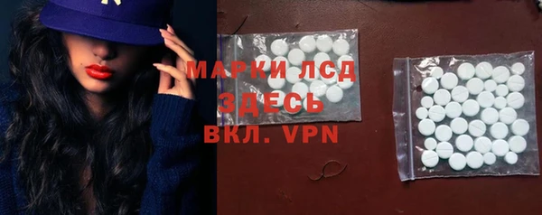 прущие грибы Абинск