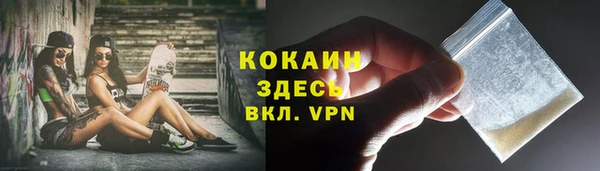 прущие грибы Абинск