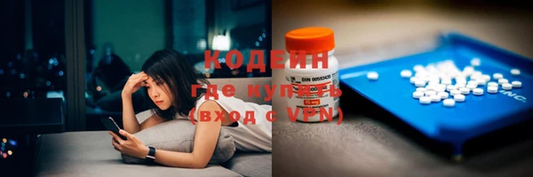 прущие грибы Абаза