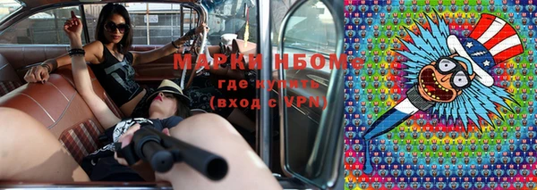 прущие грибы Абаза