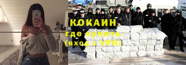 прущие грибы Абинск