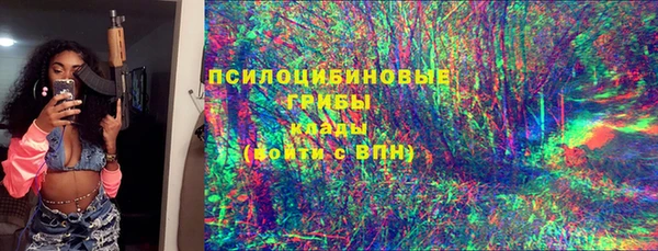 PSILOCYBIN Осташков
