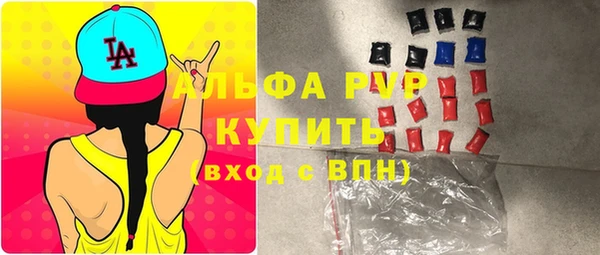 прущие грибы Абинск