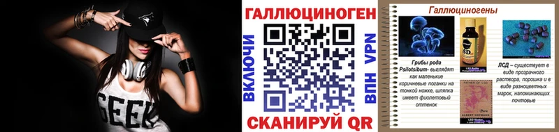 Псилоцибиновые грибы Psilocybe Фрязино