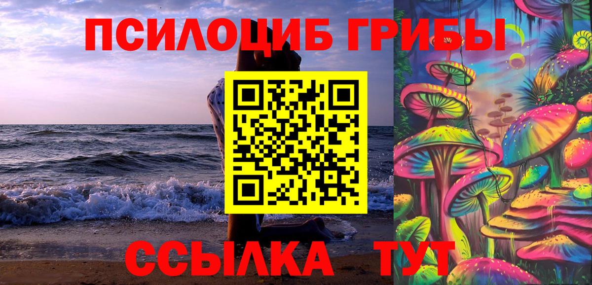 Галлюциногенные грибы ЛСД  купить наркотик  Фрязино  Галлюциногенные грибы Psilocybine cubensis  Вход с VPN 